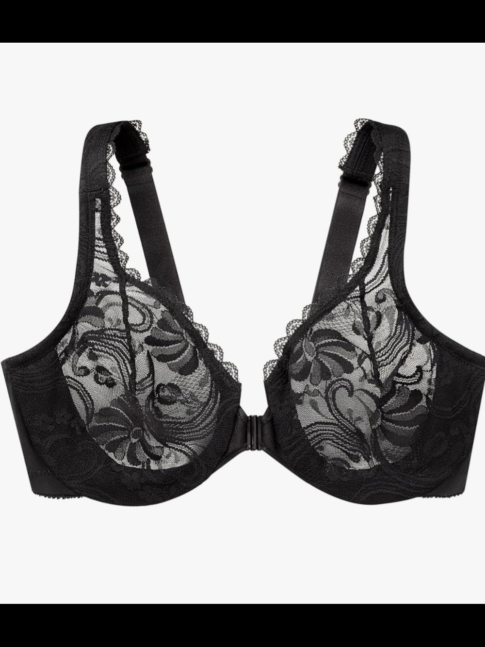 Sheer Lace Underwire Plunge Bra - Black